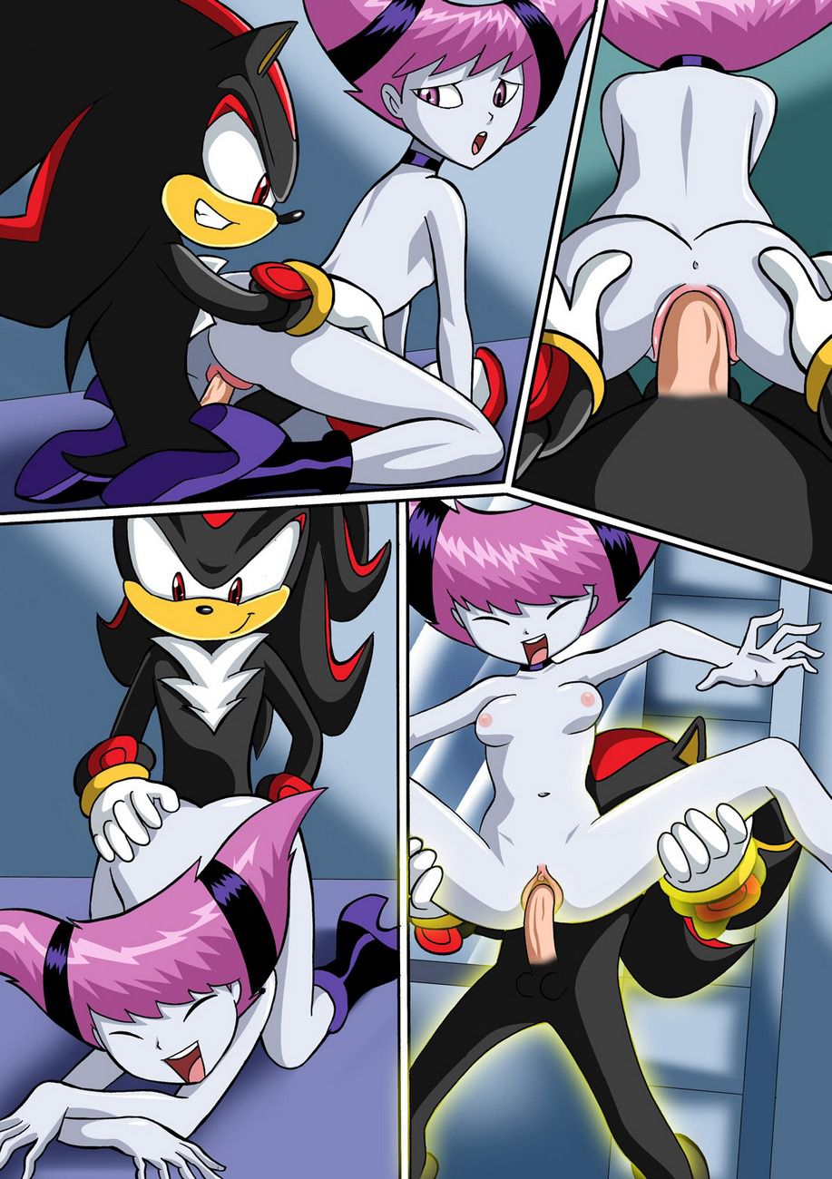 Jinxed Shadow (Sonic the Hedgehog, Teen Titans) [Palcomix] 1 . Jinxed Shadow  - Chapter 1 (Sonic the Hedgehog, Teen Titans) [Palcomix] – page 10