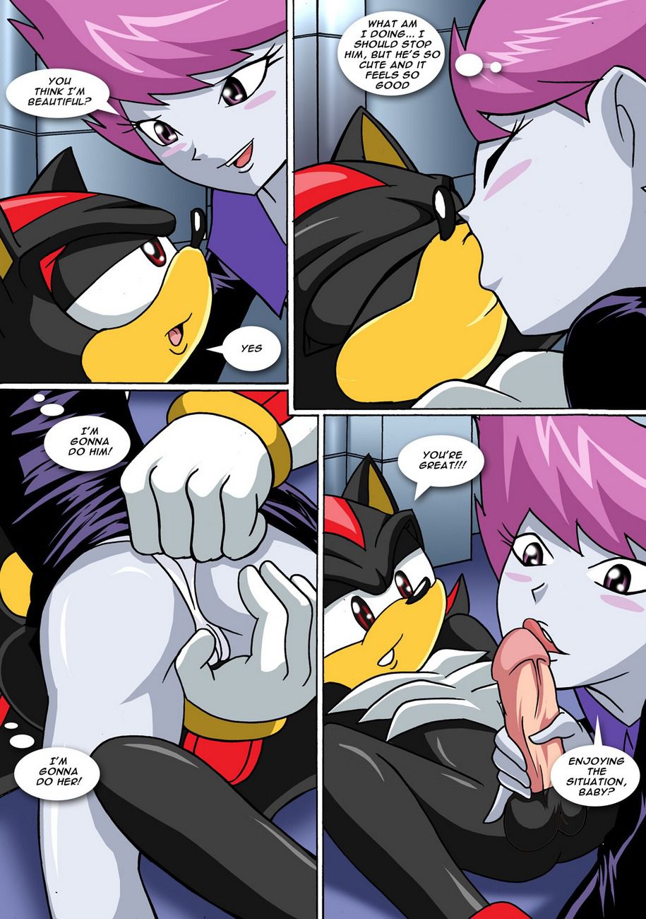 Jinxed Shadow (Sonic the Hedgehog, Teen Titans) [Palcomix] 1 . Jinxed Shadow  - Chapter 1 (Sonic the Hedgehog, Teen Titans) [Palcomix] – page 6