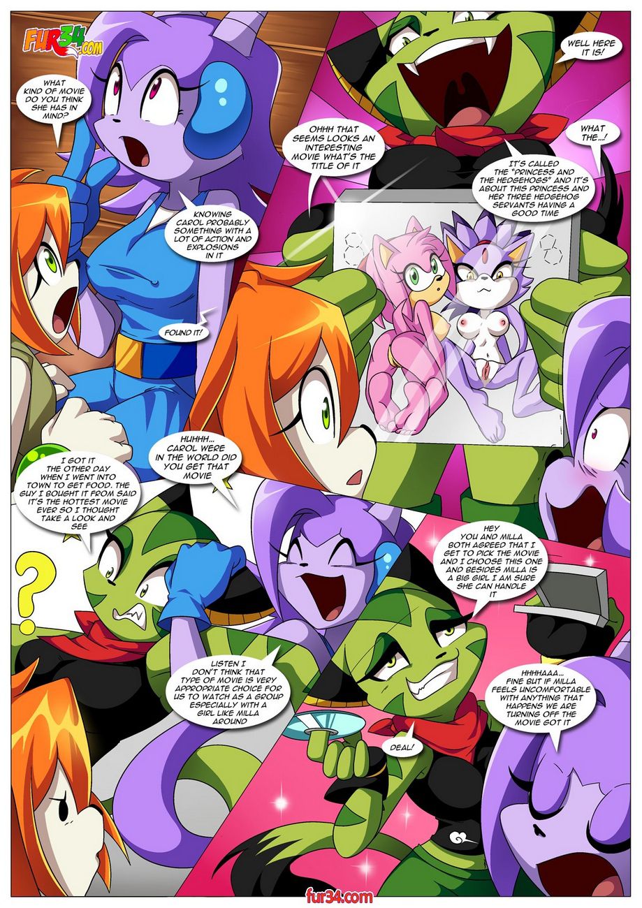 Watching A Movie With Friends (Freedom Planet) [Palcomix] 1 . Watching A Movie With Friends - Chapter 1 (Freedom Planet) [Palcomix] – page 3
