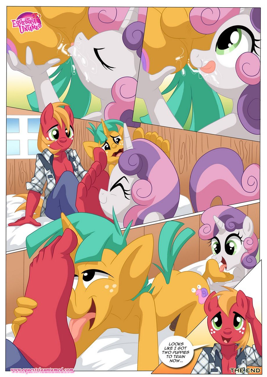 Be My Special Somepony (My Little Pony – Friendship Is Magic) [Palcomix] 1 . Be My Special Somepony - Chapter 1 (My Little Pony - Friendship Is Magic) [Palcomix] – page 25