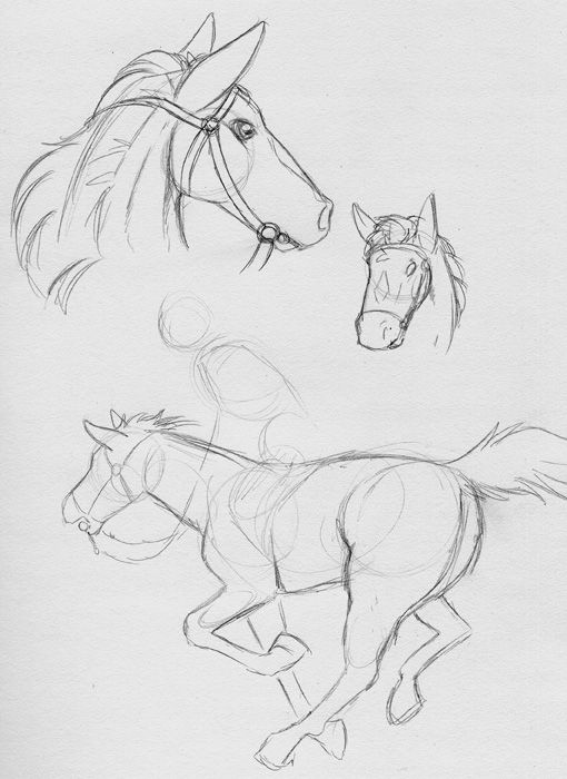 Sketch Blog [Jay Naylor] Sketch Blog 3 – page 120