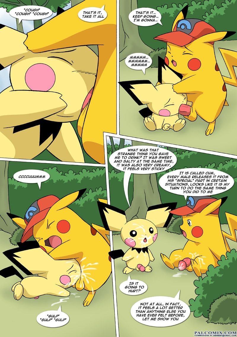 The New Adventures Of Ashchu (Pokemon) [PalComix] 1 . The New Adventures Of Ashchu - Chapter 1 (Pokemon) [PalComix] – page 64