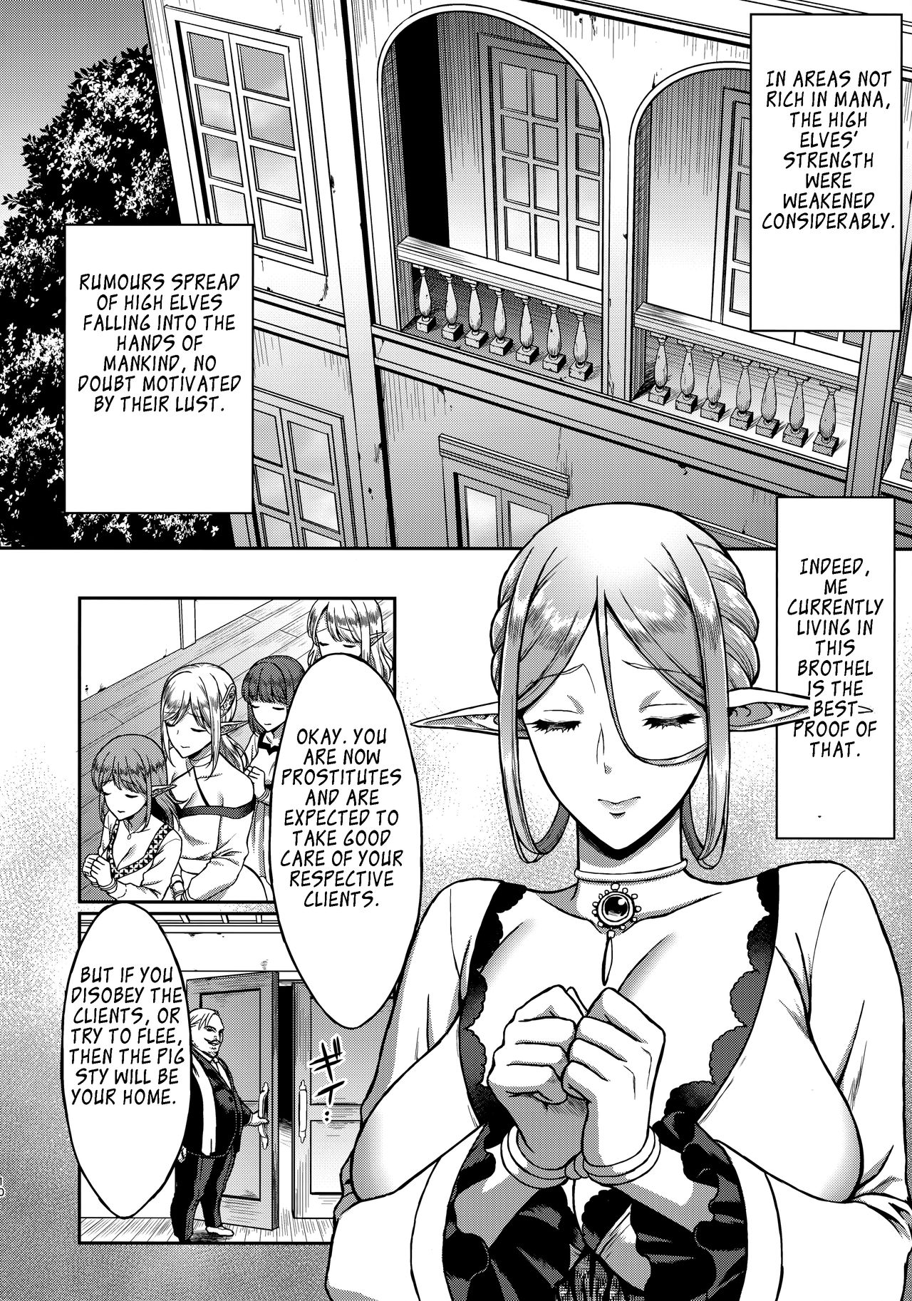 The Melancholic Elf Whore [Usagi Nagomu] 1 . The Melancholic Elf Whore - Chapter 1 [Usagi Nagomu] – page 9