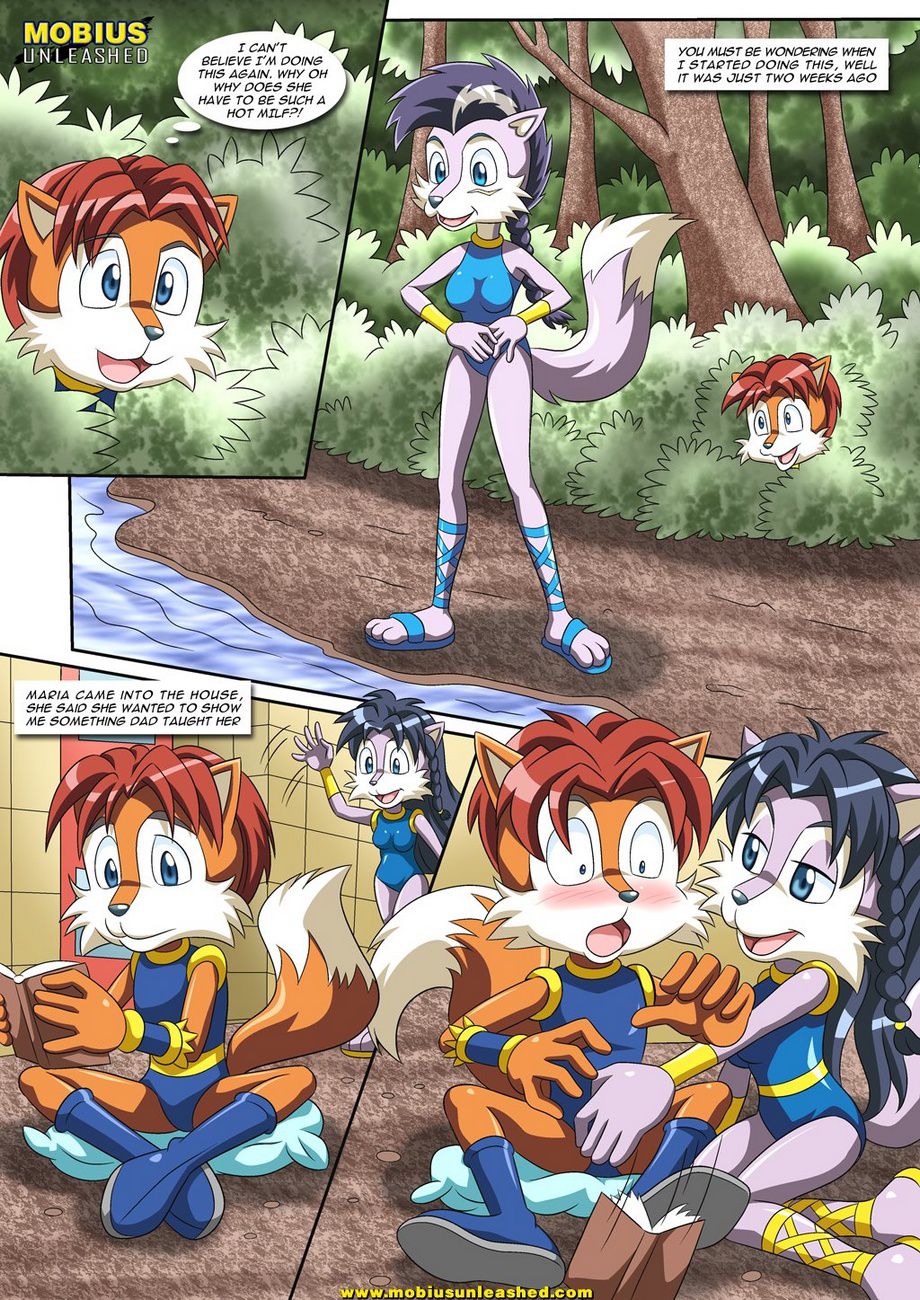 A Wolf Pack Affair (Sonic the Hedgehog) [Palcomix] 1 . A Wolf Pack Affair - Chapter 1 (Sonic the Hedgehog) [Palcomix] – page 2