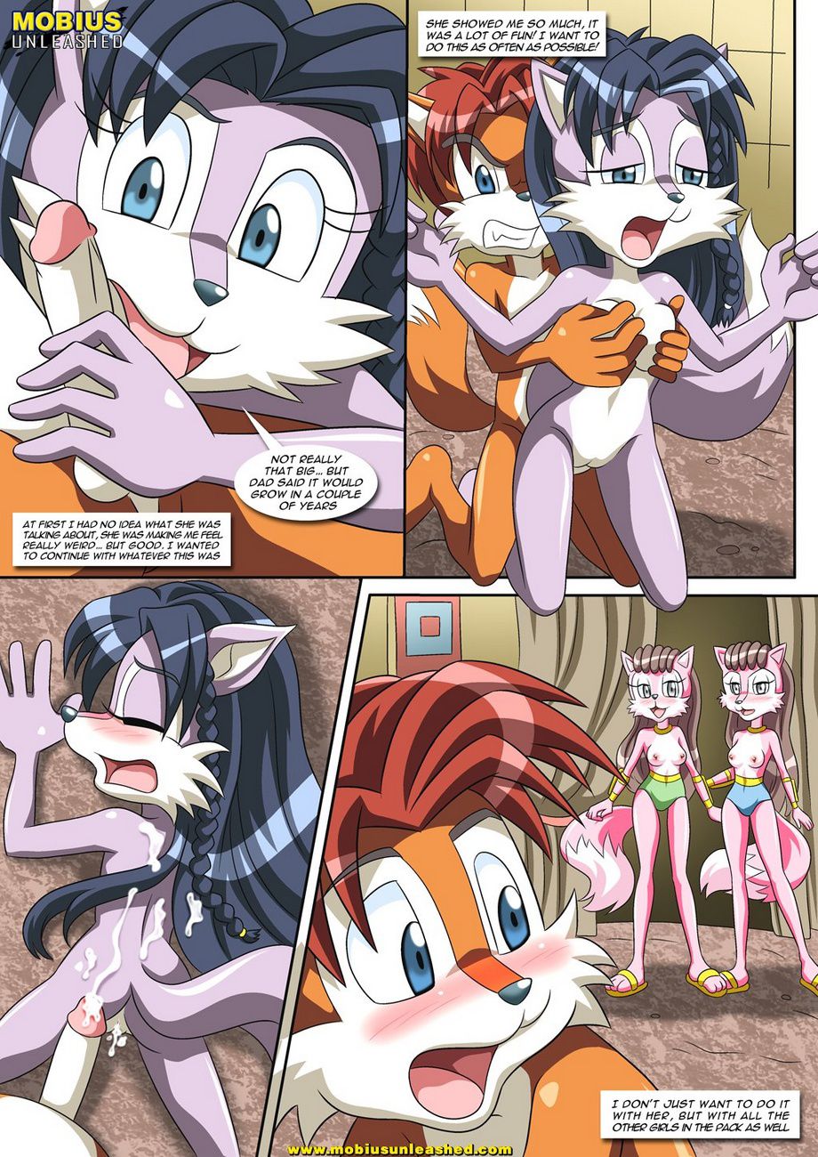 A Wolf Pack Affair (Sonic the Hedgehog) [Palcomix] 1 . A Wolf Pack Affair - Chapter 1 (Sonic the Hedgehog) [Palcomix] – page 3
