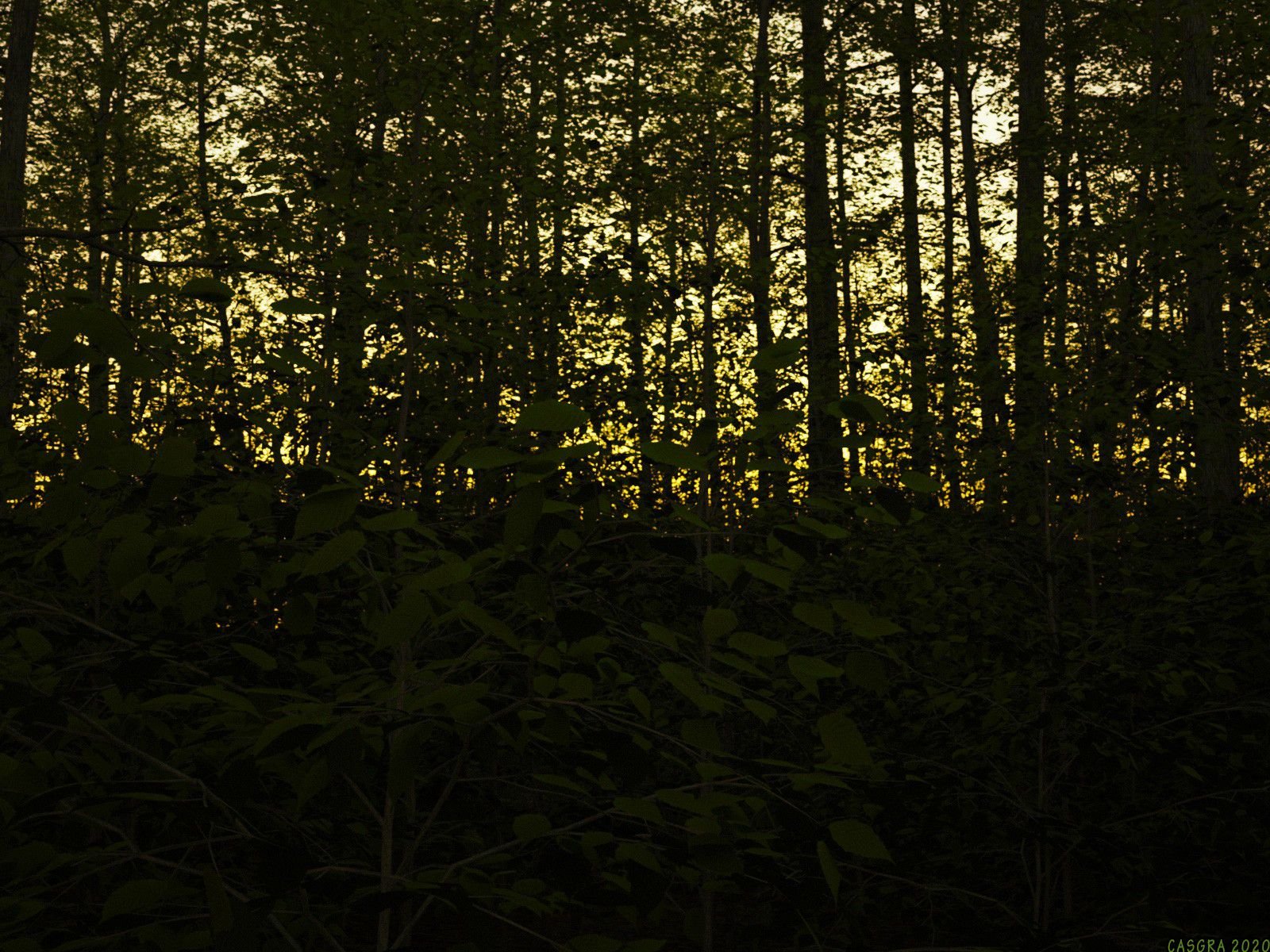 IT Follows [Casgra] 1 . IT Follows - Chapter 1 [Casgra] – page 58