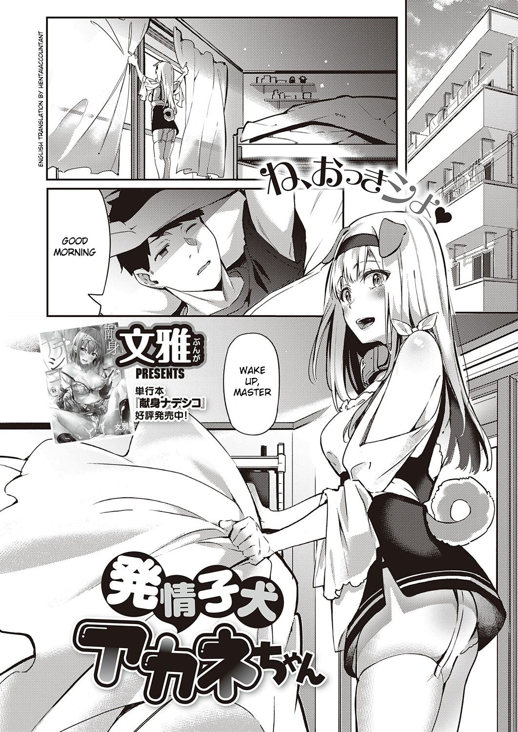 Hatsujou Koinu Akane-chan [Fumi Miyabi] 1 . Hatsujou Koinu Akane-chan - Chapter 1 [Bunga] – page 1