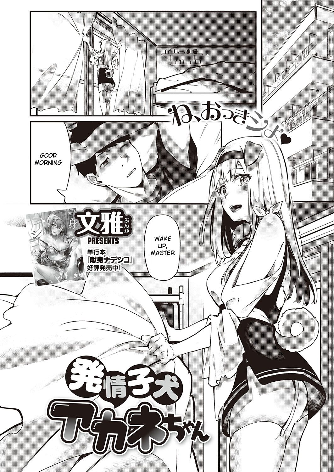 Hatsujou Koinu Akane-chan [Fumi Miyabi] 1 . Hatsujou Koinu Akane-chan - Chapter 1 [Bunga] – page 3