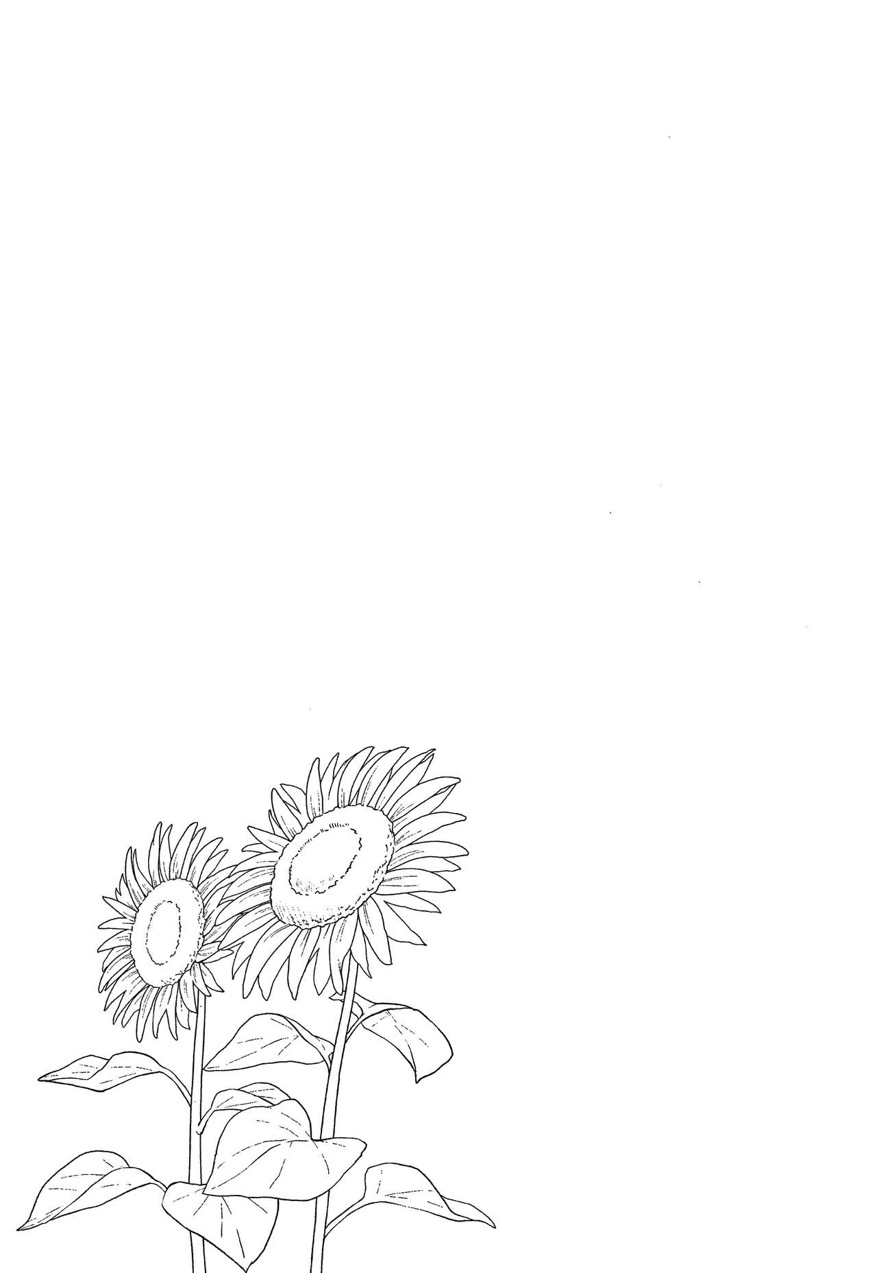 Puberty Study Session – page 142