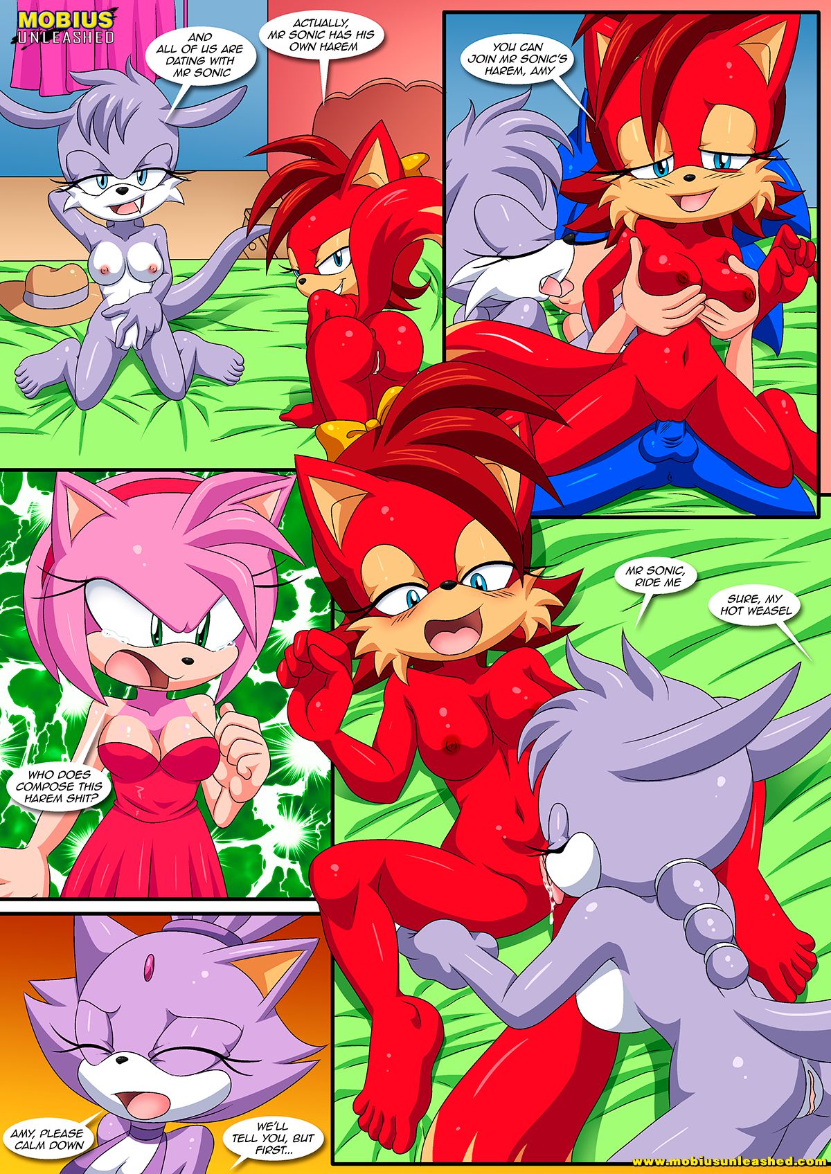 Burning Love (Sonic the Hedgehog) [Palcomix , Mobius Unleashed] 1 . Burning Love - Chapter 1 (Sonic the Hedgehog) [Palcomix , Mobius Unleashed] – page 12