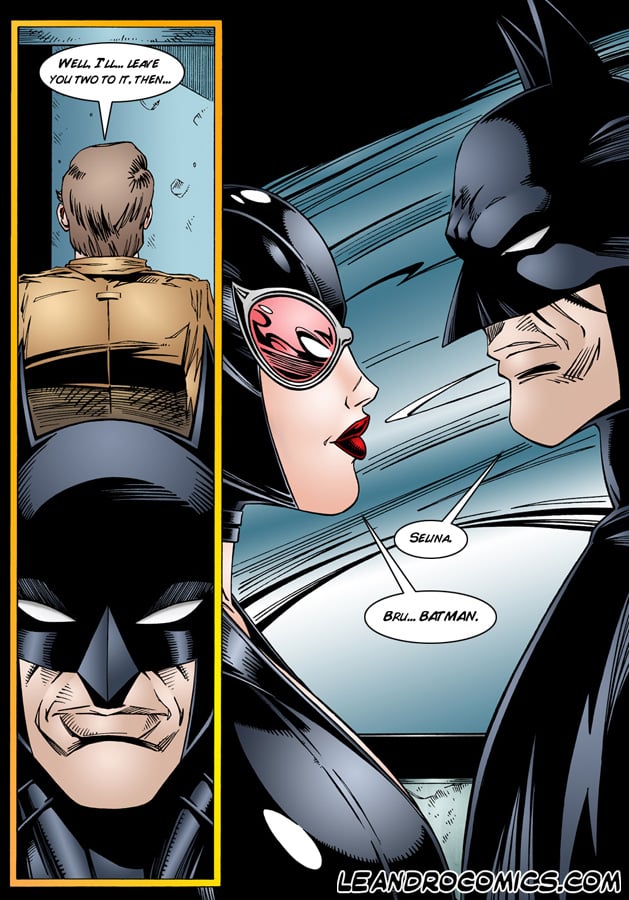 Batman and Catwoman [Leandro Comics] 1 . Batman and Catwoman - Chapter 1 [Leandro Comics] – page 7