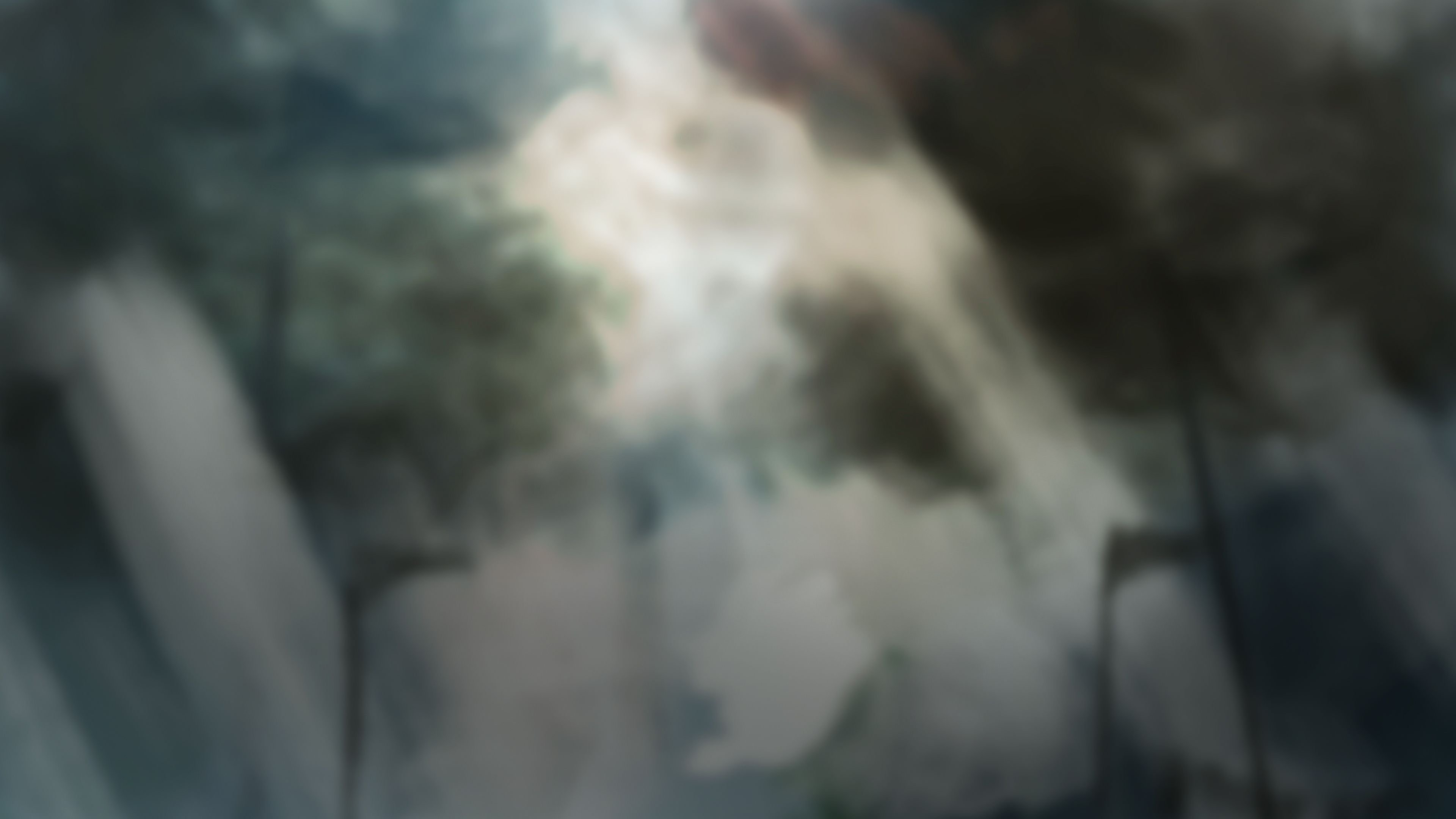 Gore Imagesets [Firolian] 1.2 . Saintess - Textless - Chapter 1 [Firolian] – page 1