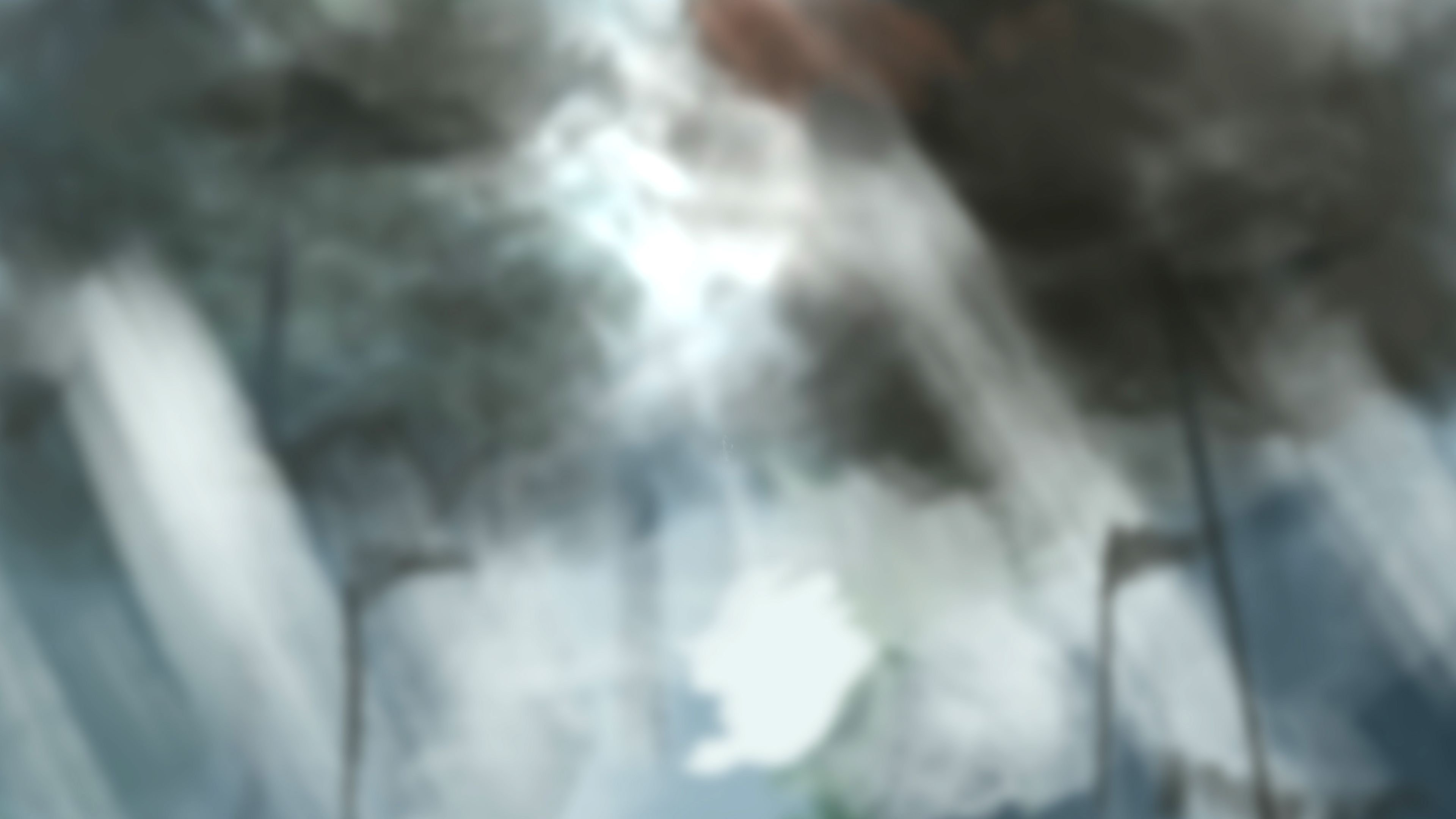 Gore Imagesets [Firolian] 1.2 . Saintess - Textless - Chapter 1 [Firolian] – page 11
