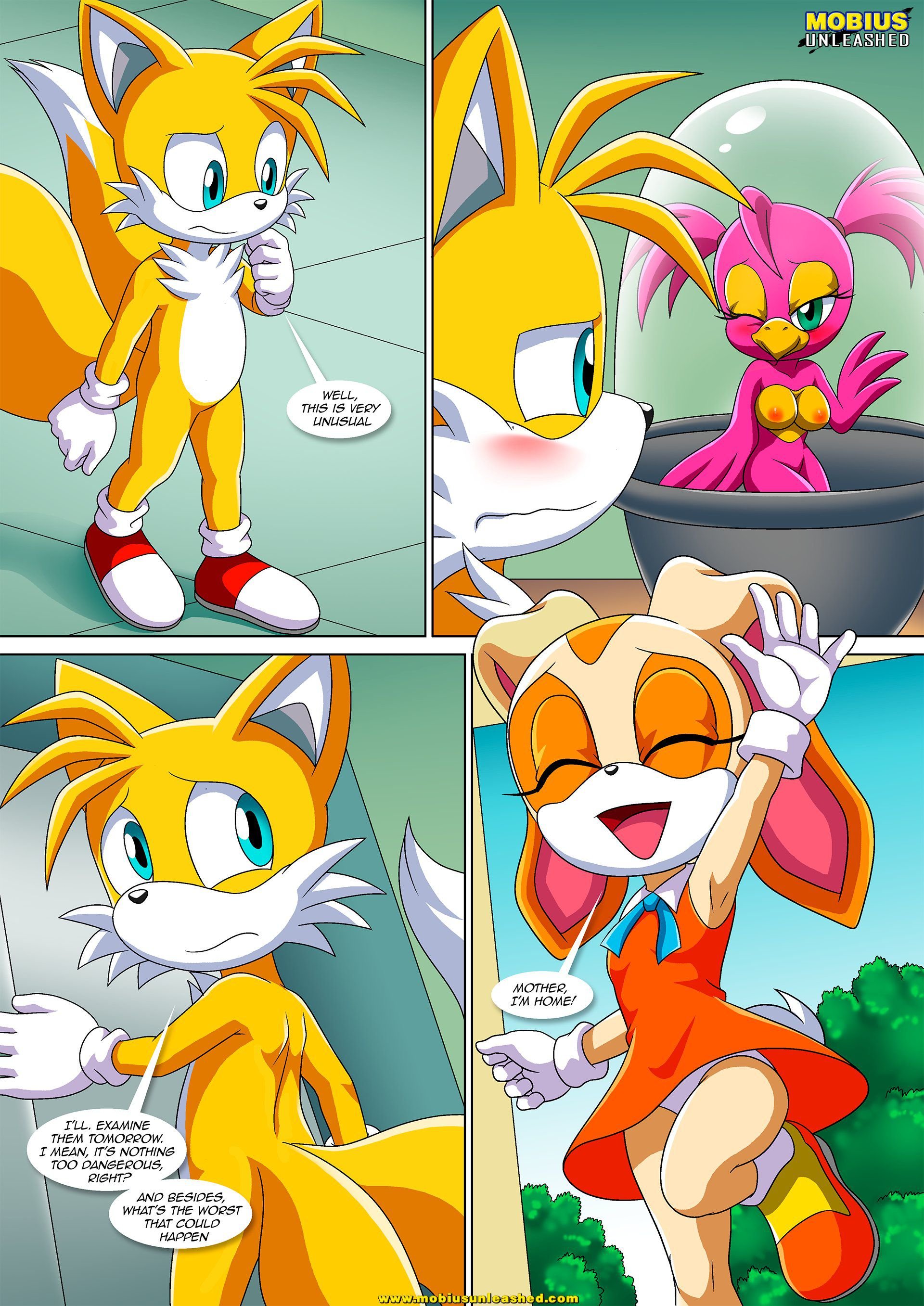 The Mayhem of the Kinky Virus (Sonic the Hedgehog) [Palcomix] 3 . The Mayhem of the Kinky Virus - Chapter 3 (Sonic the Hedgehog) [Palcomix] – page 6
