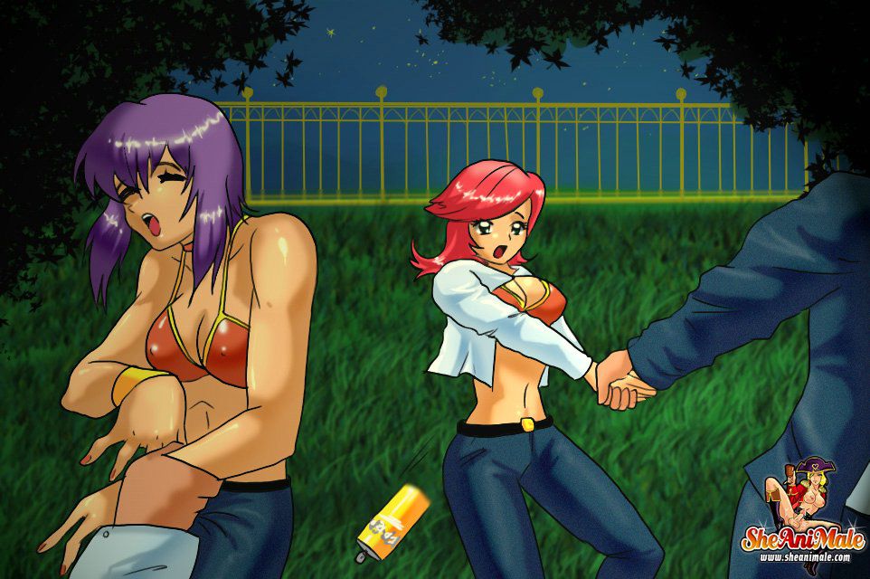 Anime Style Comics 1 [SheAniMale] Tranny Abduction In The Park - [SheAniMale] – page 2