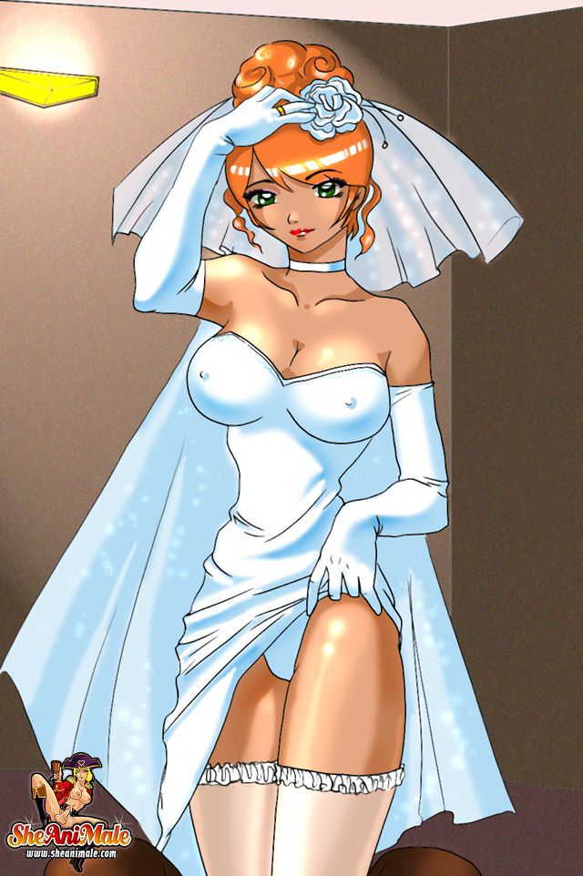 Anime Style Comics 1 [SheAniMale] The Wedding Night - [SheAniMale] – page 1