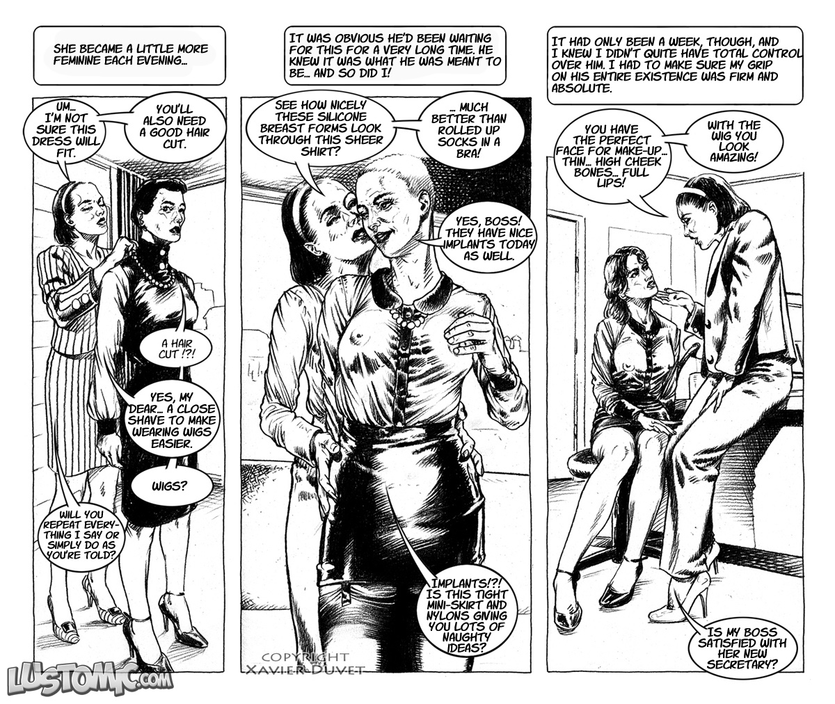 My Feminization [Lustomic] 17 . My Feminization - Sissy Secretary - Chapter 17 [Lustomic] – page 12