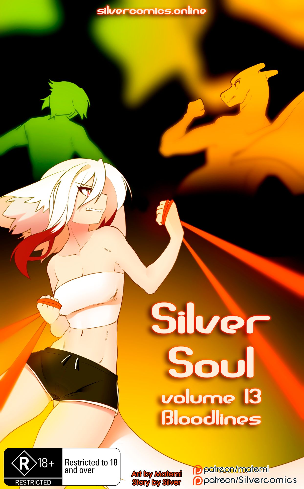Silver Soul (Pokemon) [Matemi] 13 . Silver Soul - Chapter 13 [Matemi] – page 1