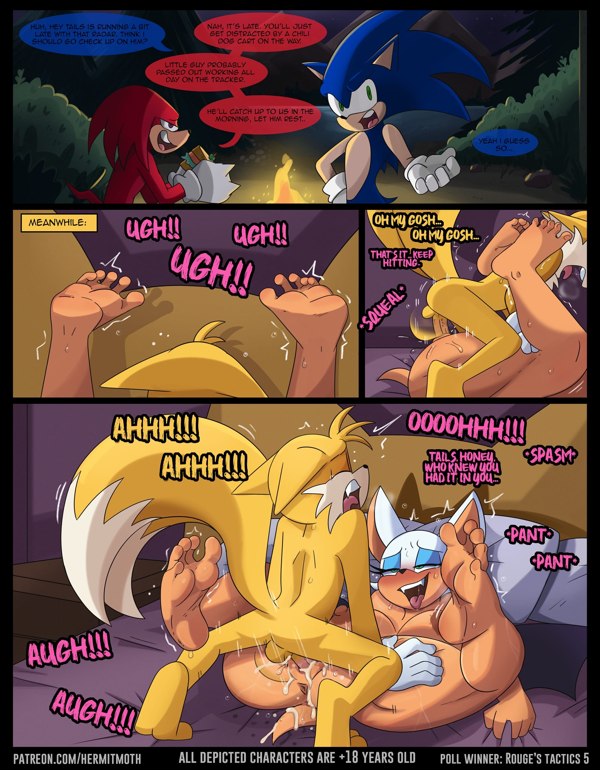Rouge's Tactics (Sonic the Hedgehog) [Hermit Moth] 1 . Rouge's Tactics - Chapter 1 (Sonic the Hedgehog) [Hermit Moth] – page 5
