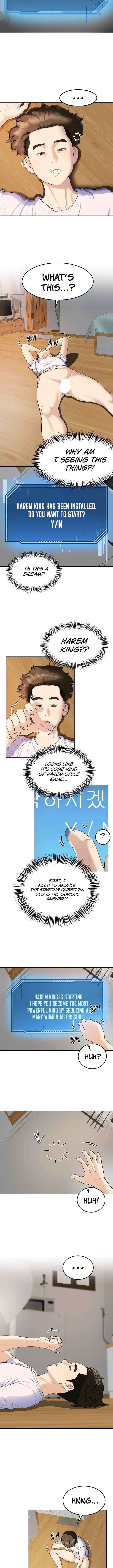 Harem King [Processor st , Hwarim] Chapter 1 – page 15