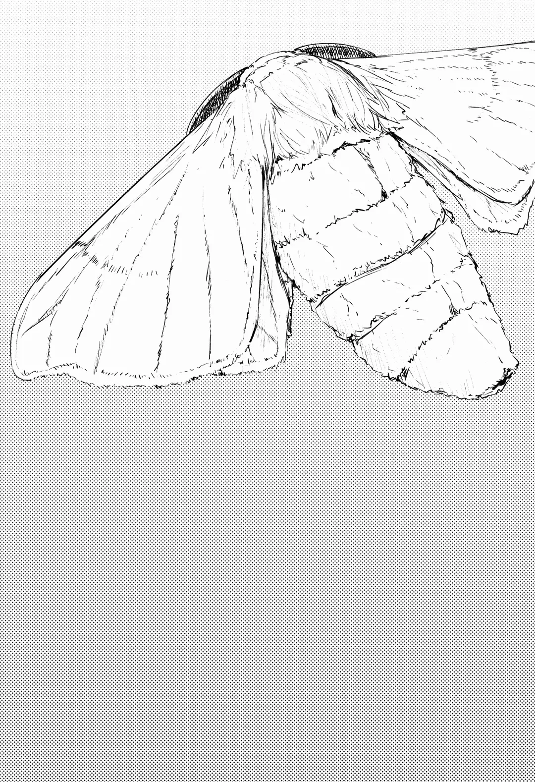Layers of White Chapter 2 – page 3