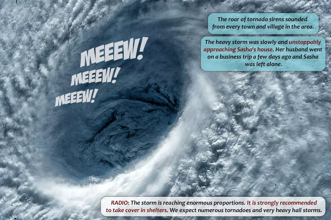 Tornado Shelter – page 3