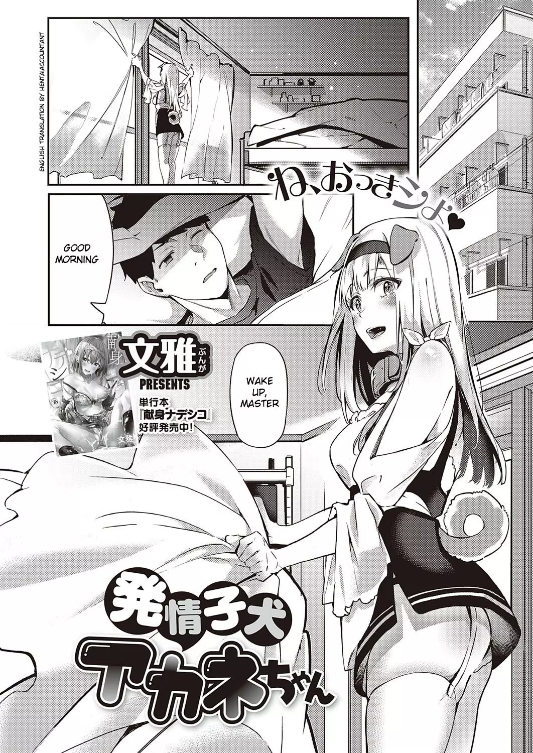 Hatsujou Koinu Akane-chan – page 1