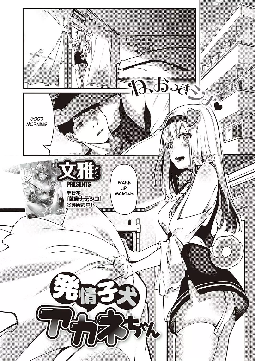 Hatsujou Koinu Akane-chan – page 3