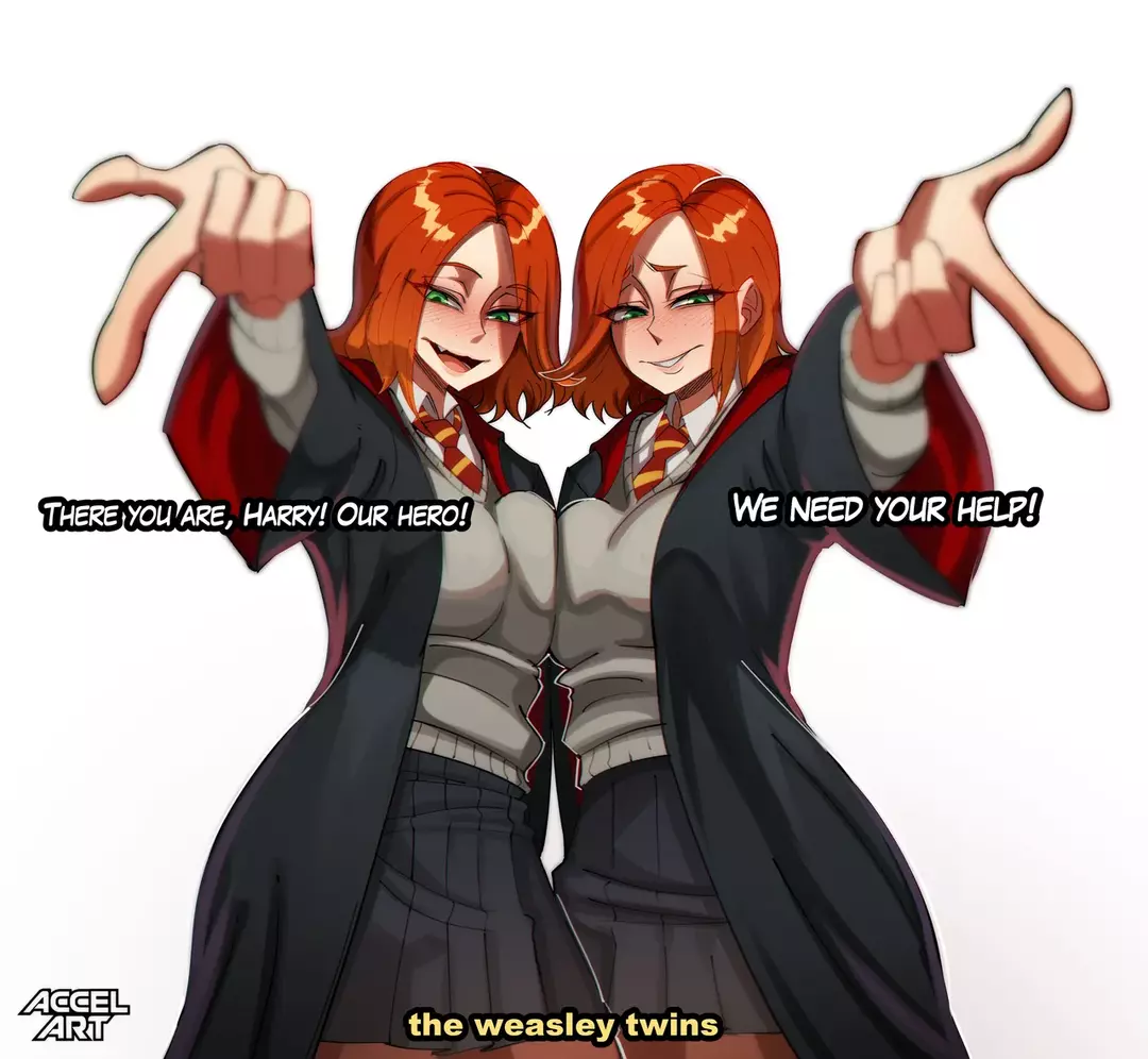 The Weasley Twins!! Harry Potter – page 1