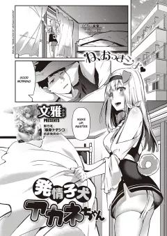 Hatsujou Koinu Akane-chan [Fumi Miyabi] porn comic cover