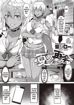 Summer Reunion [Saint Shiro] porn comic cover