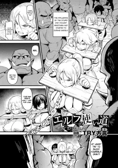 The Way to Use Elves [TRY] porn comic cover