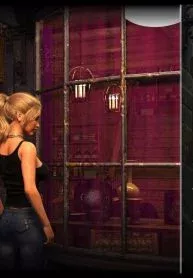 The Bridge – Curious Desires porn comic cover