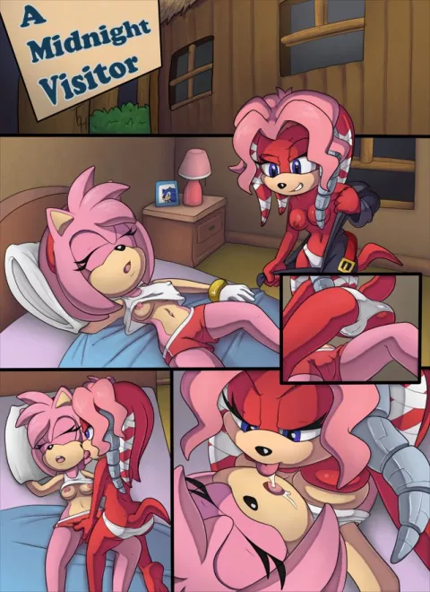 A Midnight Visitor (Sonic The Hedgehog) [TheOtherHalf] porn comic cover