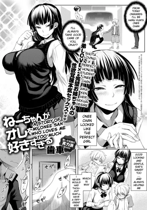 A Story Of My Onee San Who Loves Me Too Much [Haguruma] porn comic cover