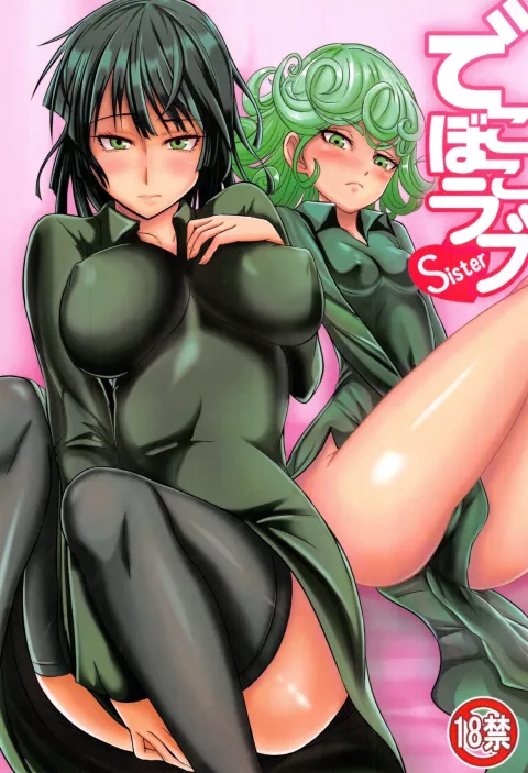 Dekoboko Love Sister (One Punch Man) [Kawa] porn comic cover