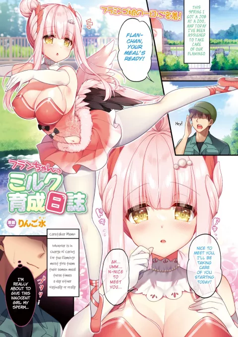 Flan’s Milk Breeding Diary [Ringo Sui] porn comic cover