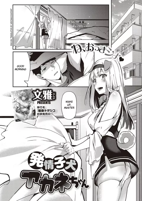 Hatsujou Koinu Akane-chan [Fumi Miyabi] porn comic cover