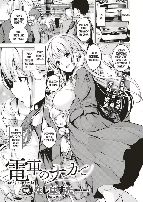 Inside the Train [Nasipasuta] porn comic cover