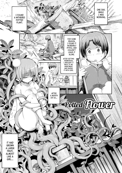 Potted Flower [Horitomo] porn comic cover