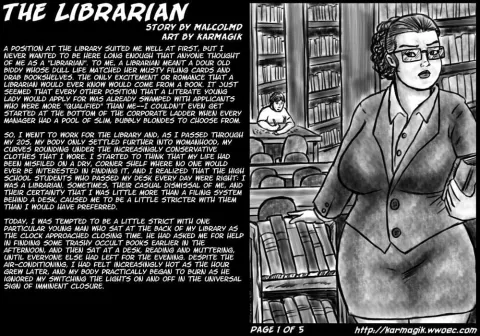 The Librarian [Karmagik] porn comic cover