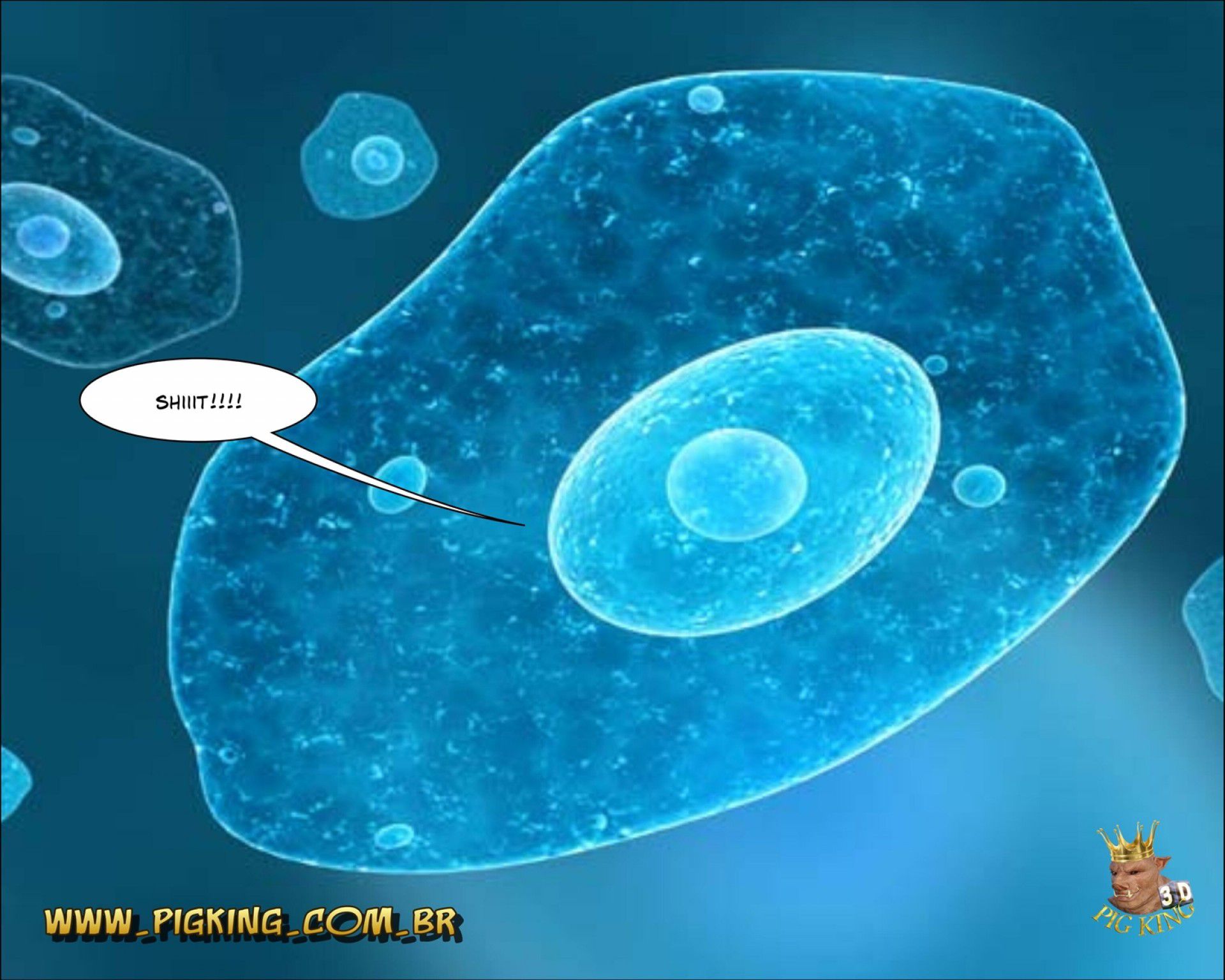 The Storyteller – Helena , Melani [PigKing] - Chapter 1 — Page 31