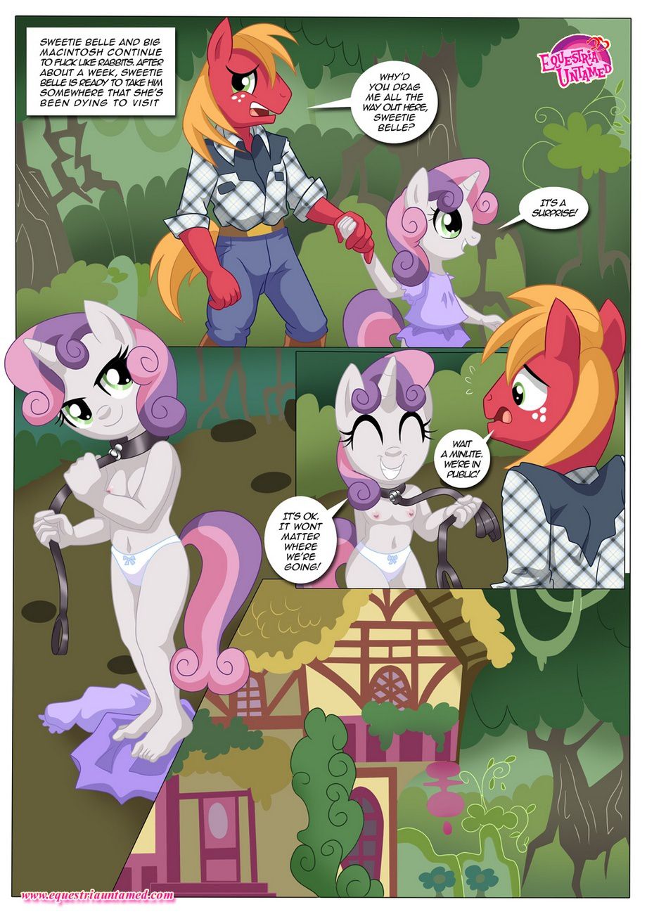 Be My Special Somepony (My Little Pony – Friendship Is Magic) [Palcomix] - Chapter 1 — Page 17