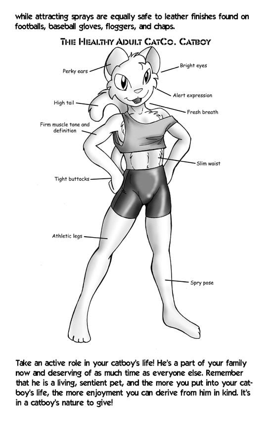 The Catboy Servant Owner’s Manual [Jay Naylor] - Chapter 1 — Page 7