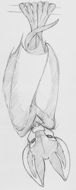 Sketch Blog [Jay Naylor] - Chapter 5 — Page 143