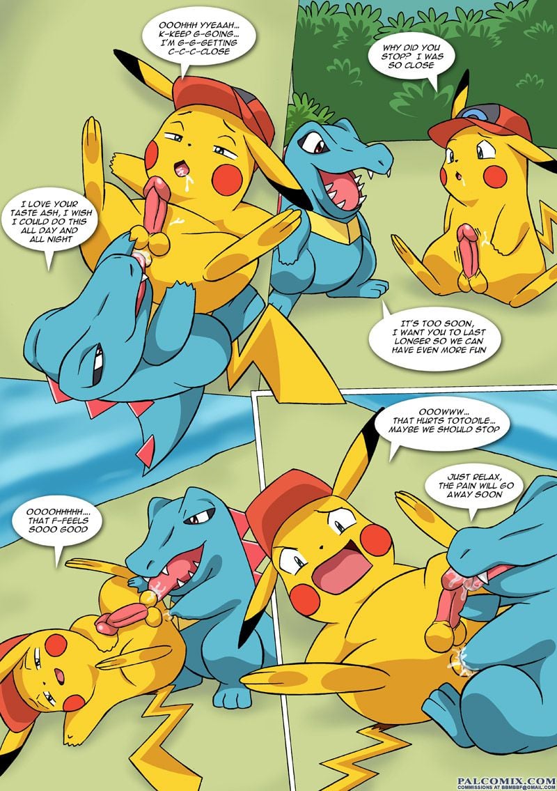 The New Adventures Of Ashchu (Pokemon) [PalComix] - Chapter 1 — Page 17