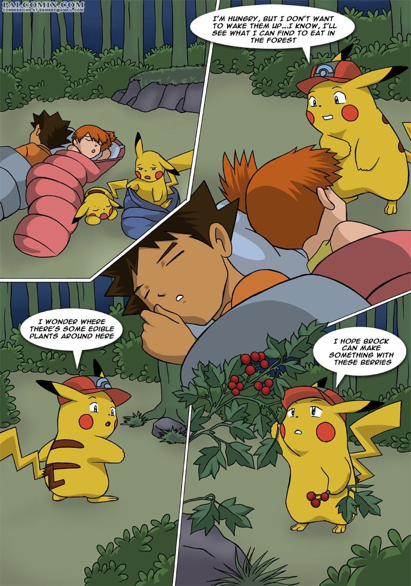 The New Adventures Of Ashchu (Pokemon) [PalComix] - Chapter 1 — Page 22