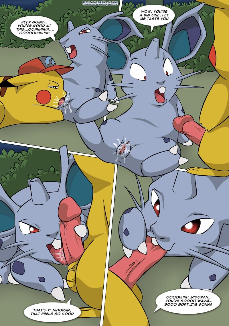 The New Adventures Of Ashchu (Pokemon) [PalComix] - Chapter 1 — Page 24