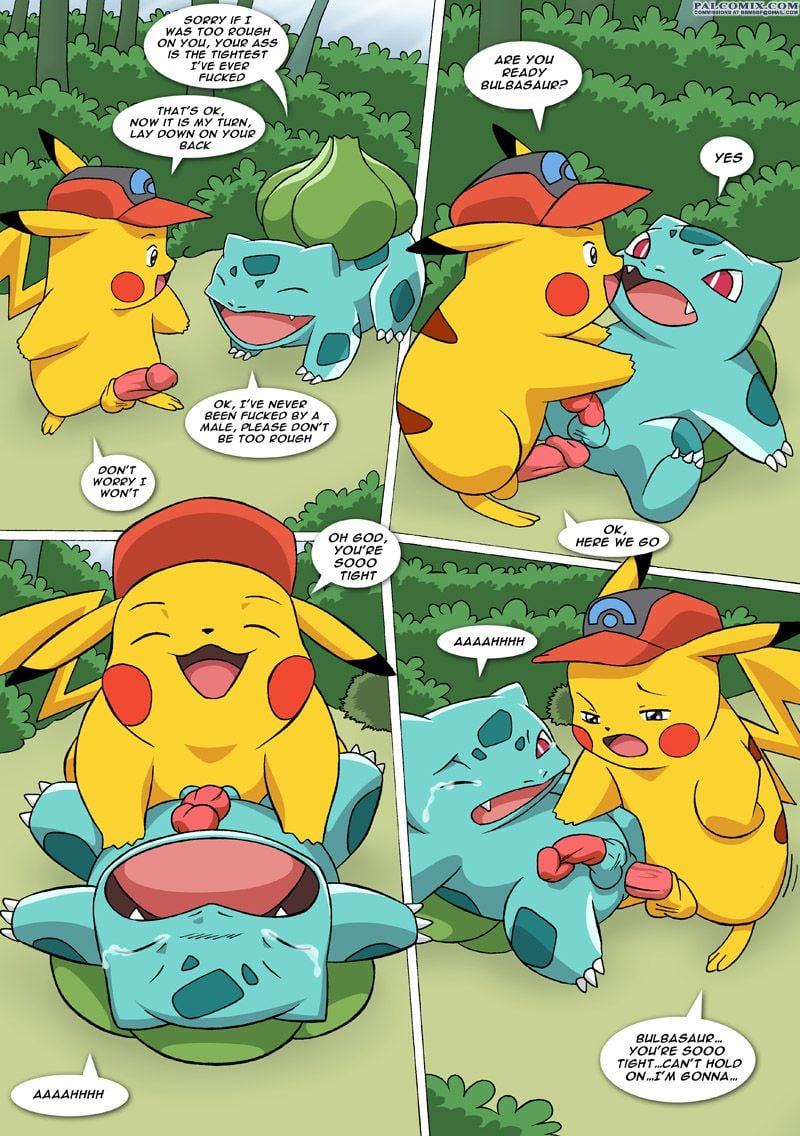 The New Adventures Of Ashchu (Pokemon) [PalComix] - Chapter 1 — Page 61