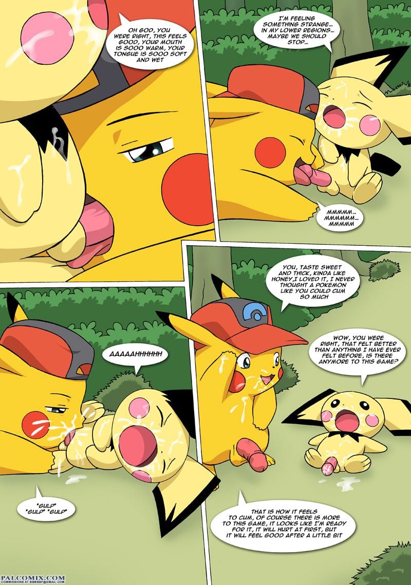 The New Adventures Of Ashchu (Pokemon) [PalComix] - Chapter 1 — Page 65